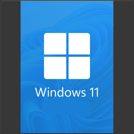Windows11 Home CDKEY