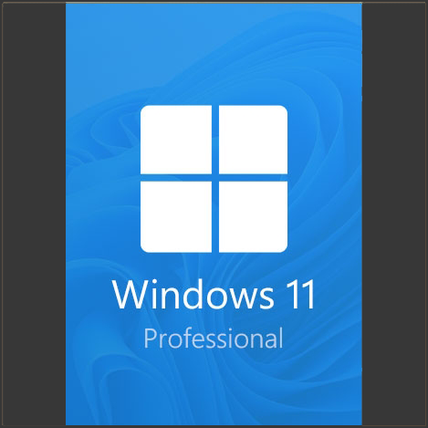 Windows11 Pro CDKEY